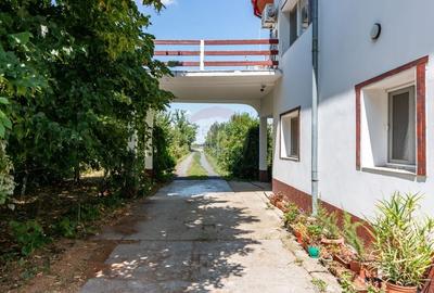 Casa+Laborator+ Teren 12.700 mp + casa de vacanta - Bolintin Vale - 36