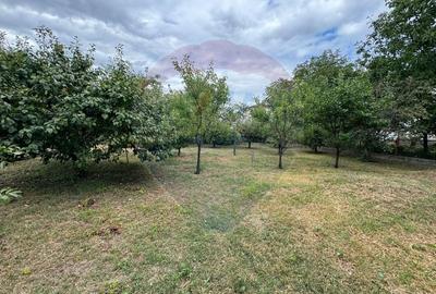 Casă individuală cu 5 camere cu Teren 1268 Mp în Nord - 22