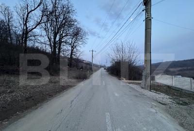 Teren de 50000 mp, în Central