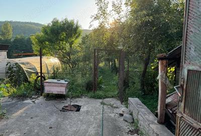 Casă cu 7 camere în Plugova - 9