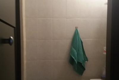 Apartament cu 3 camere decomandat în Vitan - 4