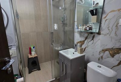 Apartament cu 2 camere decomandat, mobilat în Dristor - 9