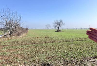 Teren Construcții intravilan de 3000 mp, în Est - 4