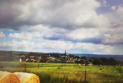 Teren la malul Dunarii, in zona Divici, 2900mp, pret negocia - 2