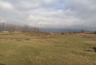 Teren de 22300 mp, în Central - 6