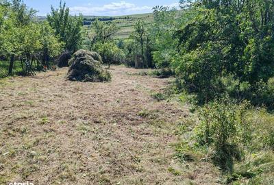 Teren de 1719 mp, în Baciu - 3