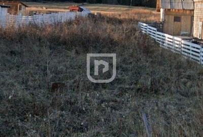 Teren intravilan  – Poiana Stampei 🌲 - 3