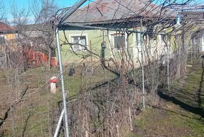 Casă cu 4 camere în Exterior Vest - 3