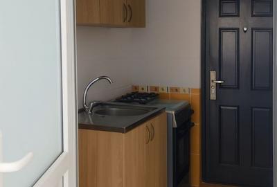 Garsonieră în zona Tractorul - Rulmentul, COD 8281 - 3