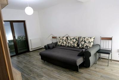 Apartament 2 camere decomandat Ambiance Valea Lupului - 3