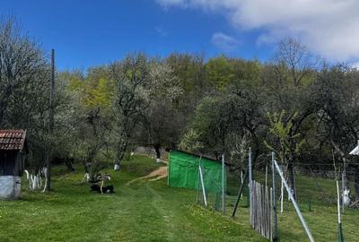 Casă cu 3 camere în Stăncilova - 6