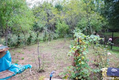 Casă cu 2 camere cu Teren 2149 Mp în Costeni - 3