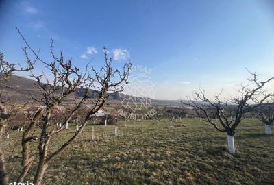 Teren de 3100 mp, în Nimigea - 1