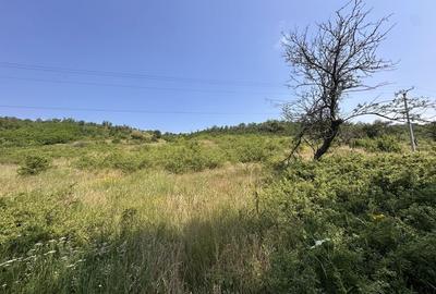 Spațiu comercial, în Florești - 3