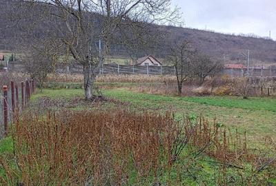 Casă cu 3 camere cu Teren 1827 Mp în Micăsasa - 2