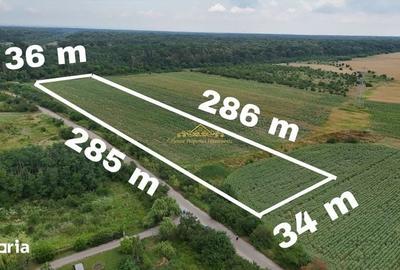 Teren de 10000 mp, în Periș