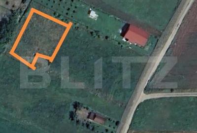 Teren intravilan 1616 mp curent apa gaz Zona Partos - 1