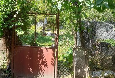 Casa de vanzare centrala in Devade va - 2