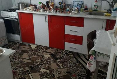 Casă cu 3 camere în Plosca - 14