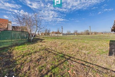 Spațiu comercial, de 225 mp, în Sânandrei - 9