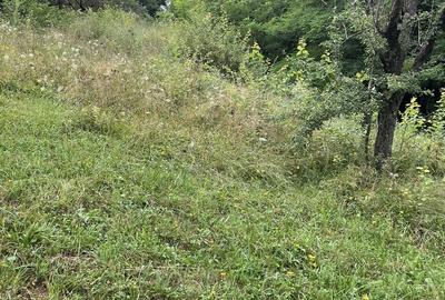 VAND TEREN PENTRU CONSTRUCTII, COM.CETATENI - ARGES - 6