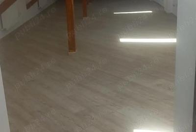 De inchiriat mansarda open space Pia?a Mihail Kogalniceanu, Bucure?ti - 2