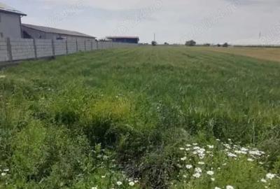 Teren de 3051 mp, în Tomșani - 1