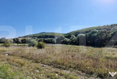 Teren de 1850 mp, în Feleacu - 4