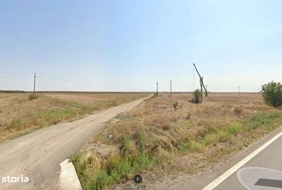 Teren de 20000 mp, în Vișina - 2