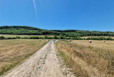 Teren de 626 mp, în Betfia - 4