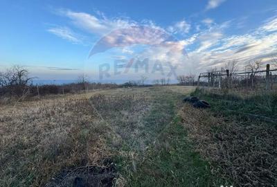 Teren de 2636 mp, în Pădureni (Jariștea) - 1