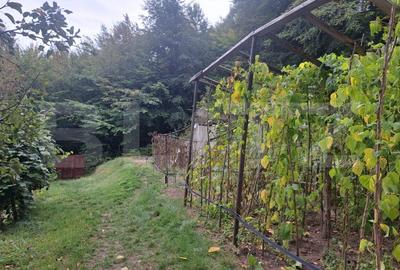 Casa de vanzare - Colonia 1 Mai 75.000 EURO - 13