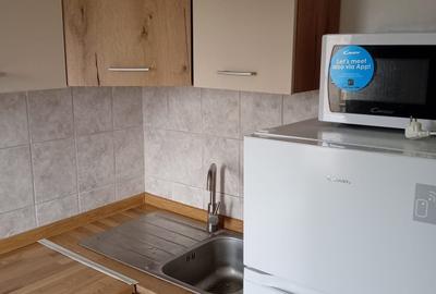 Apartament cu 1 camera pe strada Linistei langa Agronomie - 2