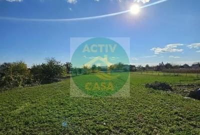 Casă cu 5 camere cu Teren 2000 Mp în Cotu Vameș - 1