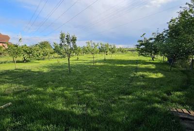 Spațiu comercial, în Central - 2