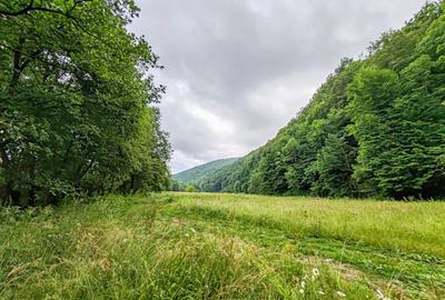 2,64 Ha TEREN SUPERB pe malul raului Crisul Repede padure parau NEGRENI - CLUJ - 30