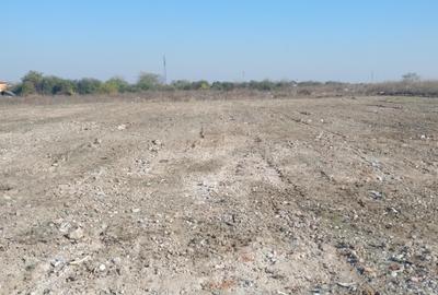 Teren Construcții intravilan de 25160 mp, în Glina - 3
