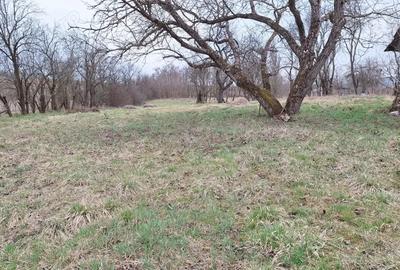 Teren si casa de vanzare in Mica, CJ - 1