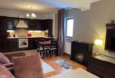 Apartament de lux cu vedere directa spre Masivul Caraiman  – Predeal - 2