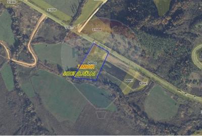 Teren agricol extravilan de 11698 mp, în Zimbor