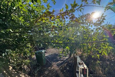 Casă cu 6 camere cu Canalizare în Sud - 10