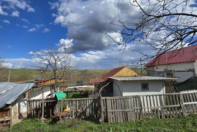 Casă cu 3 camere cu Teren 2876 Mp în Central - 7