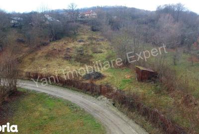 Teren de 3357 mp, în Valea Iașului - 4