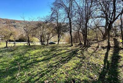 Teren 4044mp, 18 km de Campina, asfalt, utilitati, pretabil investitie - 1