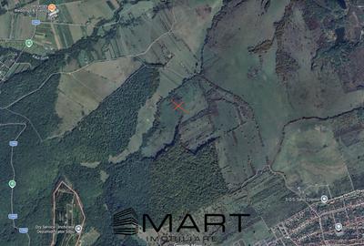 Teren agricol extravilan de 21000 mp, în Cisnădie - 2
