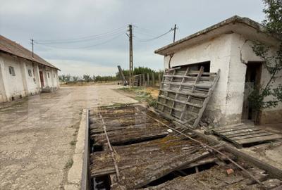 Ferma de Vanzare in judetul Timis, la nord est de Timisoara, - 16