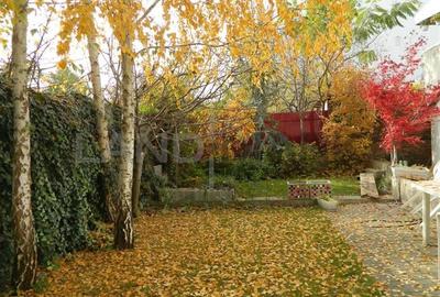 EXCLUSIVITATE! Spatiu SAD, 200 mp Parter, zona Favorit EXCLUSIVITATE! Spatiu SAD, 200 mp Parter, zona Favorit - 8