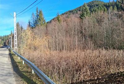 Vand teren in Brates, Neamt, cu iesire la raul Tarcau - 3