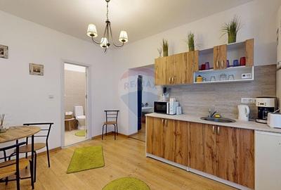 Apartament cu 1 camere nedecomandat, mobilat în Centrul Istoric - 9