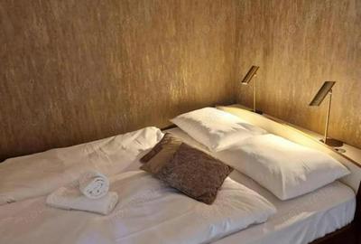 De inchiriat apartament cu o camera in zona Elisabetin - 3